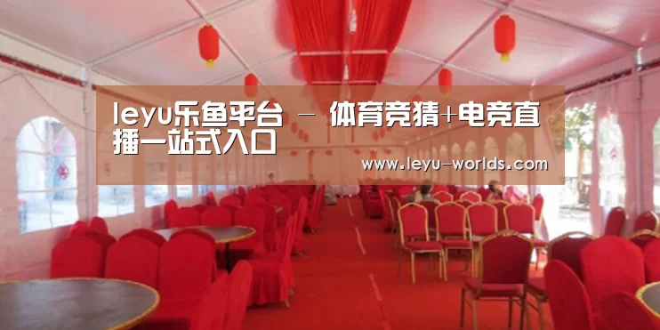 案例标题四