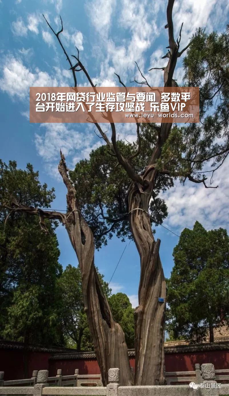2018年网贷行业监管与要闻 多数平台开始进入了生存攻坚战_乐鱼VIP注册app下载(图4) 乐鱼VIP注册app下载