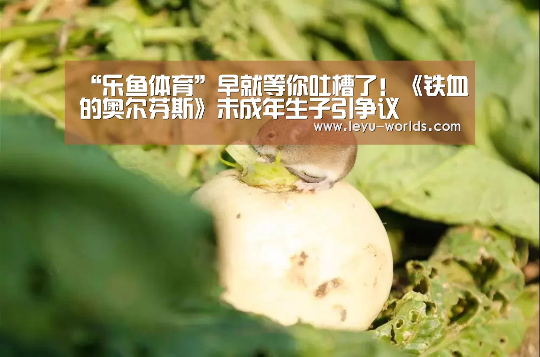 “乐鱼体育”早就等你吐槽了!《铁血的奥尔芬斯》未成年生子引争议(图2) 乐鱼VIP注册app下载