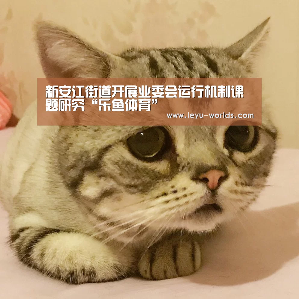 新安江街道开展业委会运行机制课题研究“乐鱼体育”(图1) 乐鱼体育