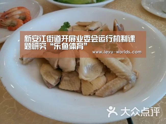 新安江街道开展业委会运行机制课题研究“乐鱼体育”(图2) 登录入口