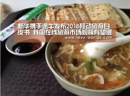 乐鱼VIP注册app下载
