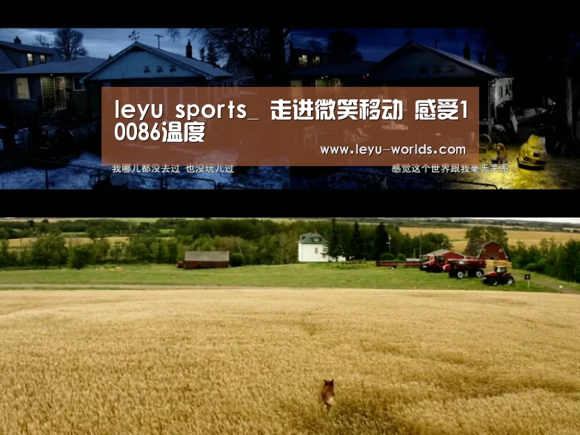 登录入口