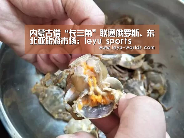 内蒙古借“长三角”联通俄罗斯、东北亚旅游市场:leyu sports(图2) 乐鱼VIP注册app下载