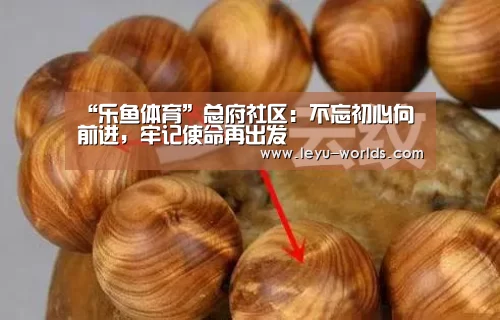 “乐鱼体育”总府社区:不忘初心向前进,牢记使命再出发(图1) 乐鱼体育