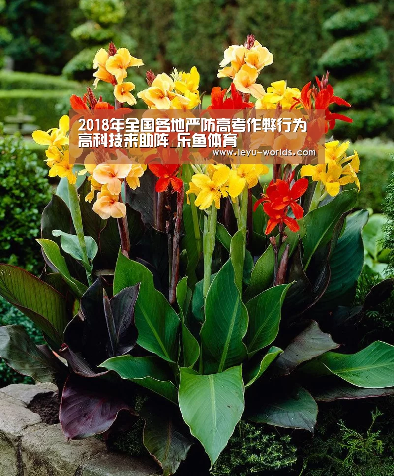 2018年全国各地严防高考作弊行为 高科技来助阵_乐鱼体育(图2) 乐鱼VIP注册app下载