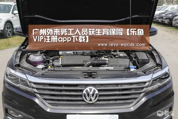 广州外来务工人员获生育保险【乐鱼VIP注册app下载】(图3) leyu sports